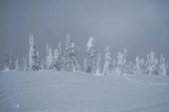 IMG_4430_1024x768